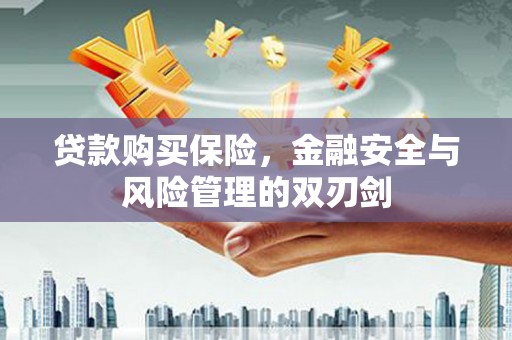 长葛贷款购买保险，金融安全与风险管理的双刃剑