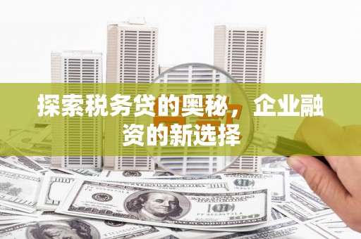 长葛探索税务贷的奥秘，企业融资的新选择