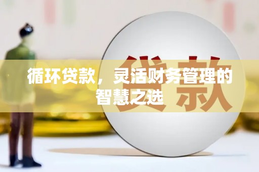 长葛循环贷款，灵活财务管理的智慧之选