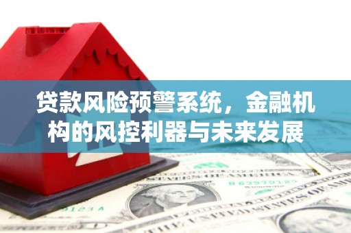 长葛贷款风险预警系统，金融机构的风控利器与未来发展