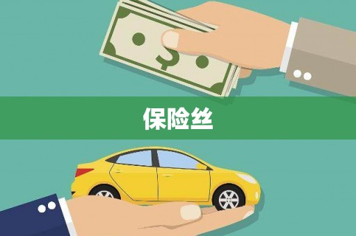 长葛保险丝