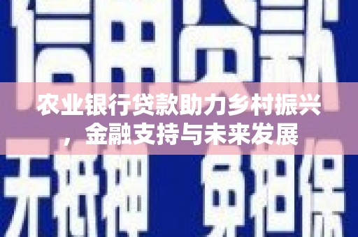 长葛农业银行贷款助力乡村振兴，金融支持与未来发展