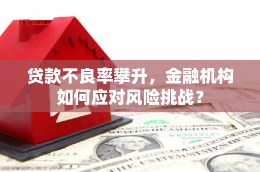 长葛贷款不良率攀升，金融机构如何应对风险挑战？