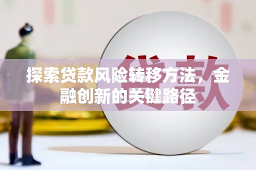 长葛探索贷款风险转移方法，金融创新的关键路径