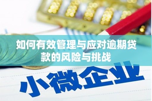 长葛如何有效管理与应对逾期贷款的风险与挑战