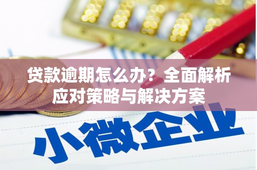 长葛贷款逾期怎么办？全面解析应对策略与解决方案