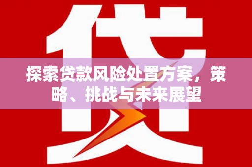 长葛探索贷款风险处置方案，策略、挑战与未来展望
