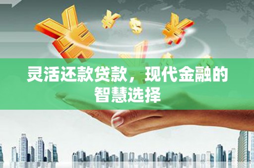 长葛灵活还款贷款，现代金融的智慧选择