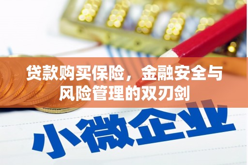 长葛贷款购买保险，金融安全与风险管理的双刃剑
