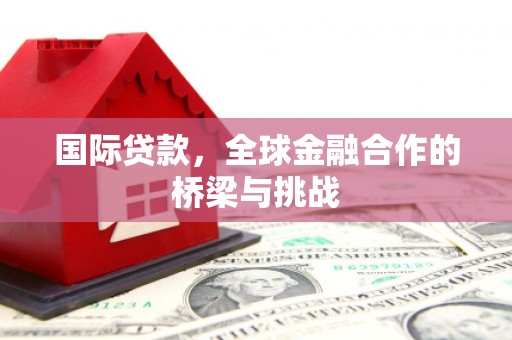 长葛国际贷款，全球金融合作的桥梁与挑战