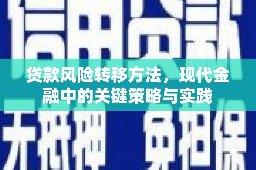 长葛贷款风险转移方法，现代金融中的关键策略与实践