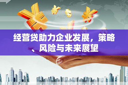 长葛经营贷助力企业发展，策略、风险与未来展望