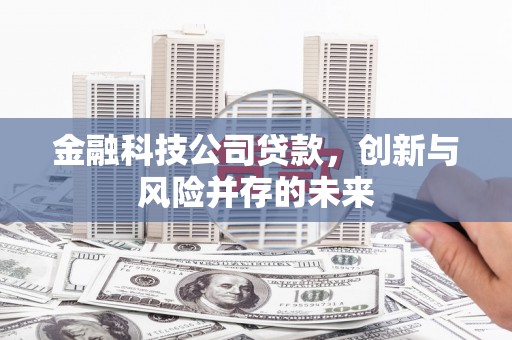 长葛金融科技公司贷款，创新与风险并存的未来