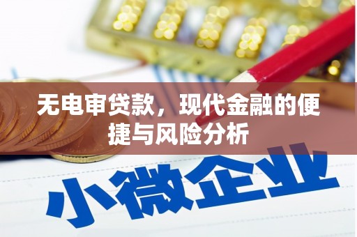 长葛无电审贷款，现代金融的便捷与风险分析