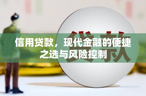 长葛信用贷款，现代金融的便捷之选与风险控制
