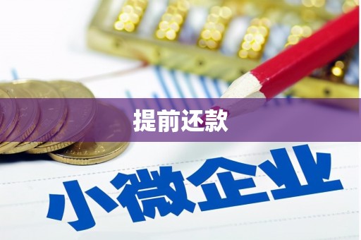 长葛提前还款