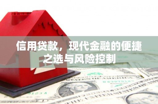 长葛信用贷款，现代金融的便捷之选与风险控制