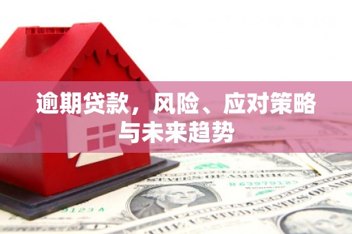 长葛逾期贷款，风险、应对策略与未来趋势