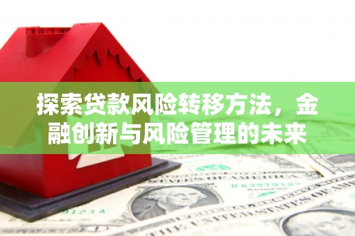 长葛探索贷款风险转移方法，金融创新与风险管理的未来
