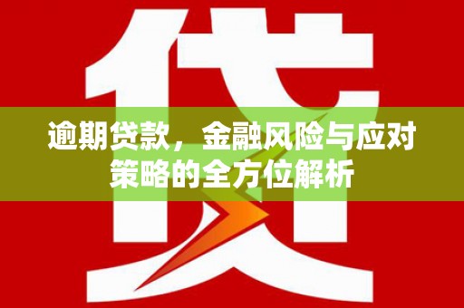 长葛逾期贷款，金融风险与应对策略的全方位解析