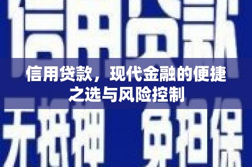 长葛信用贷款，现代金融的便捷之选与风险控制