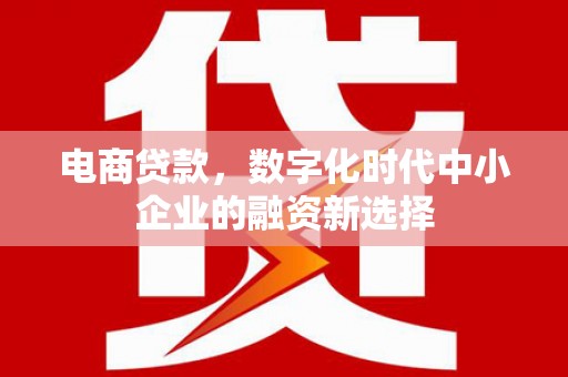 长葛电商贷款，数字化时代中小企业的融资新选择