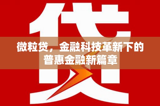 长葛微粒贷，金融科技革新下的普惠金融新篇章