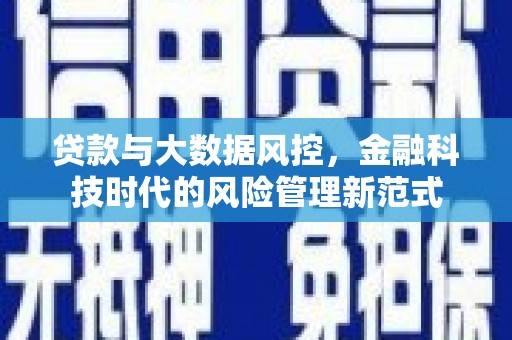 长葛贷款与大数据风控，金融科技时代的风险管理新范式