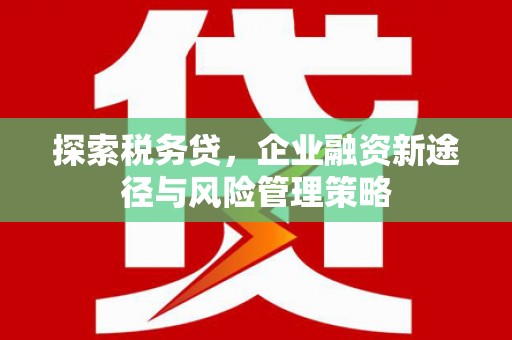 长葛探索税务贷，企业融资新途径与风险管理策略