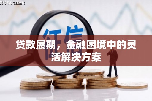 长葛贷款展期，金融困境中的灵活解决方案