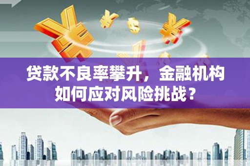 长葛贷款不良率攀升，金融机构如何应对风险挑战？