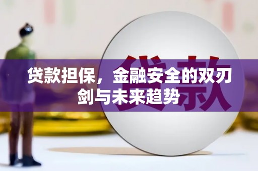 长葛贷款担保，金融安全的双刃剑与未来趋势