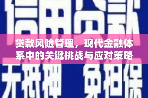 长葛贷款风险管理，现代金融体系中的关键挑战与应对策略