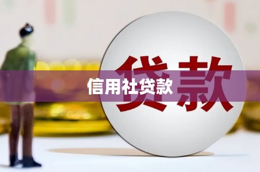 长葛信用社贷款