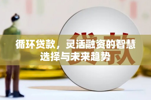 长葛循环贷款，灵活融资的智慧选择与未来趋势