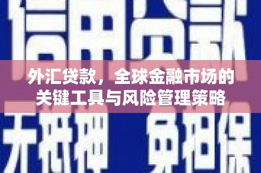 长葛外汇贷款，全球金融市场的关键工具与风险管理策略