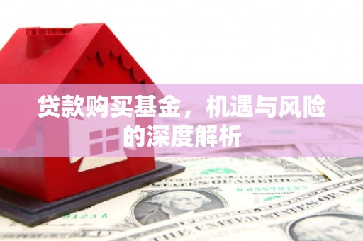 长葛贷款购买基金，机遇与风险的深度解析