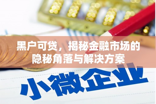 长葛黑户可贷，揭秘金融市场的隐秘角落与解决方案