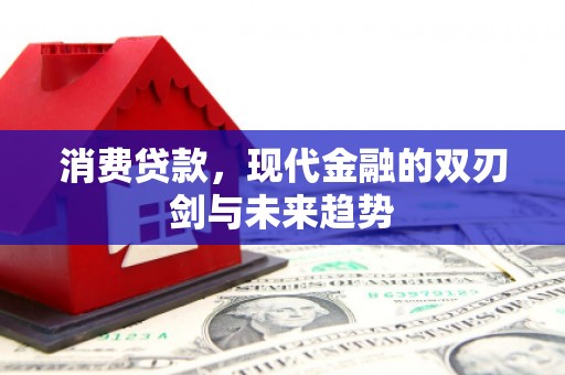 长葛消费贷款，现代金融的双刃剑与未来趋势