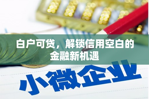 长葛白户可贷，解锁信用空白的金融新机遇