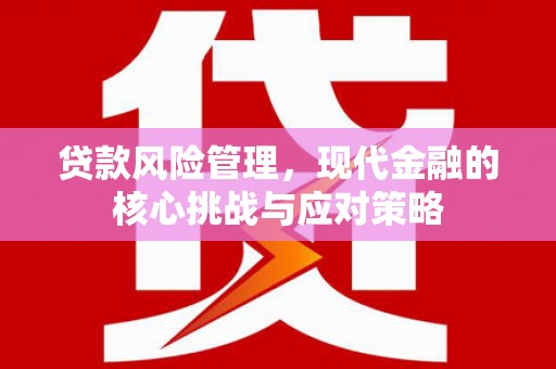 长葛贷款风险管理，现代金融的核心挑战与应对策略