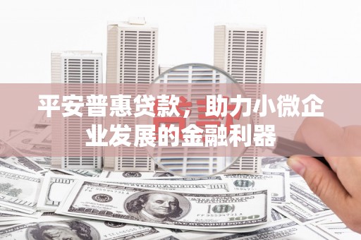 长葛平安普惠贷款，助力小微企业发展的金融利器