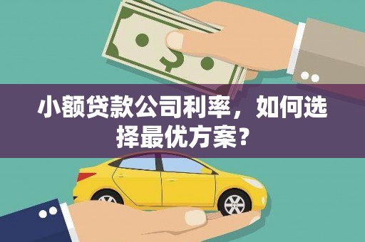 长葛小额贷款公司利率，如何选择最优方案？