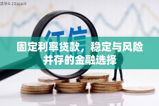 长葛固定利率贷款，稳定与风险并存的金融选择
