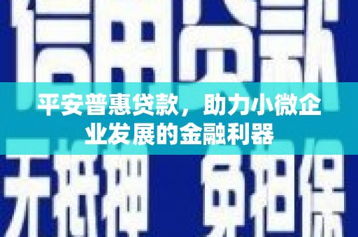 长葛平安普惠贷款，助力小微企业发展的金融利器