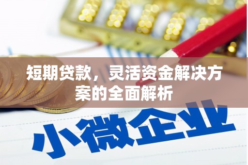 长葛短期贷款，灵活资金解决方案的全面解析