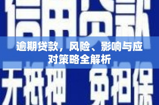 长葛逾期贷款，风险、影响与应对策略全解析