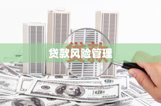 长葛贷款风险管理