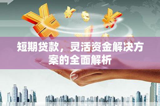 长葛短期贷款，灵活资金解决方案的全面解析