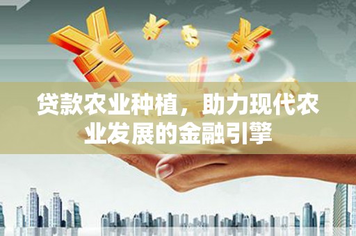 长葛贷款农业种植，助力现代农业发展的金融引擎